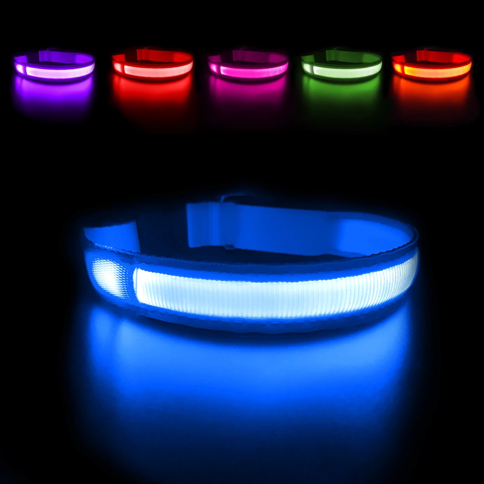 Light Up Dog Collar