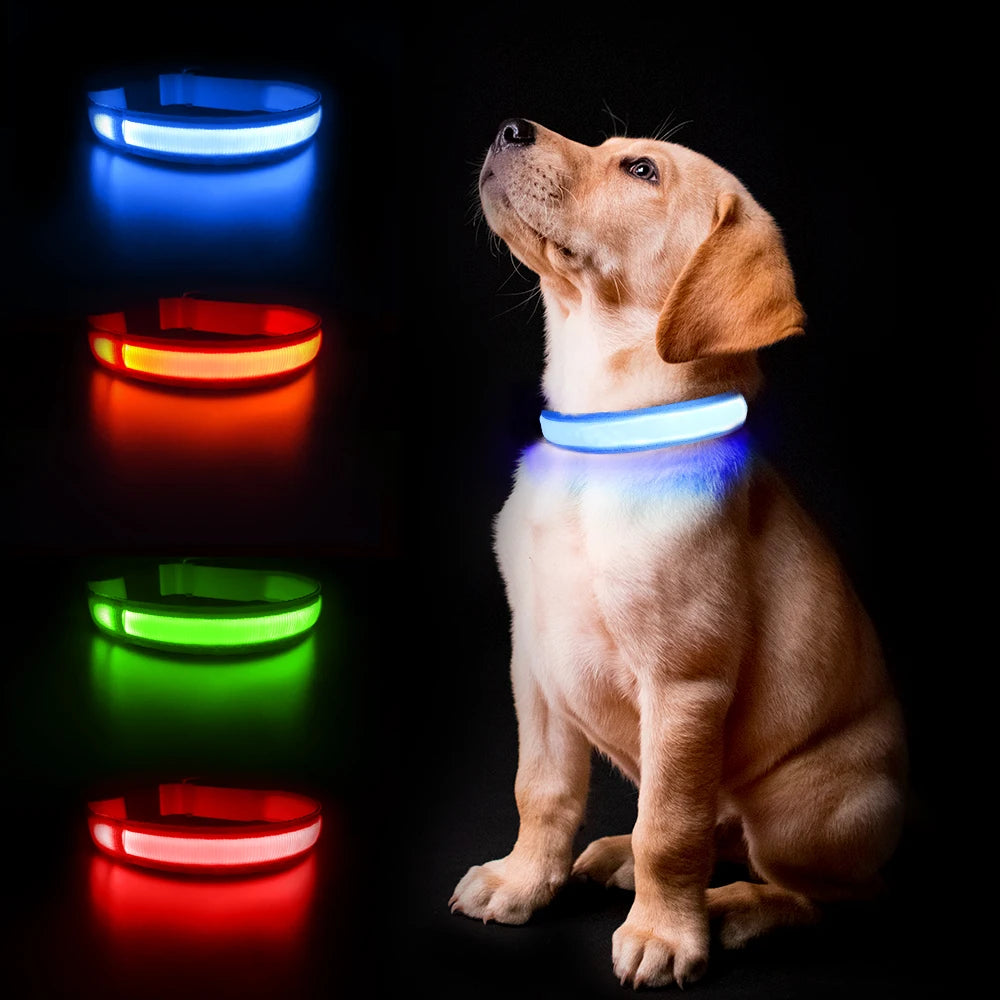 Light Up Dog Collar