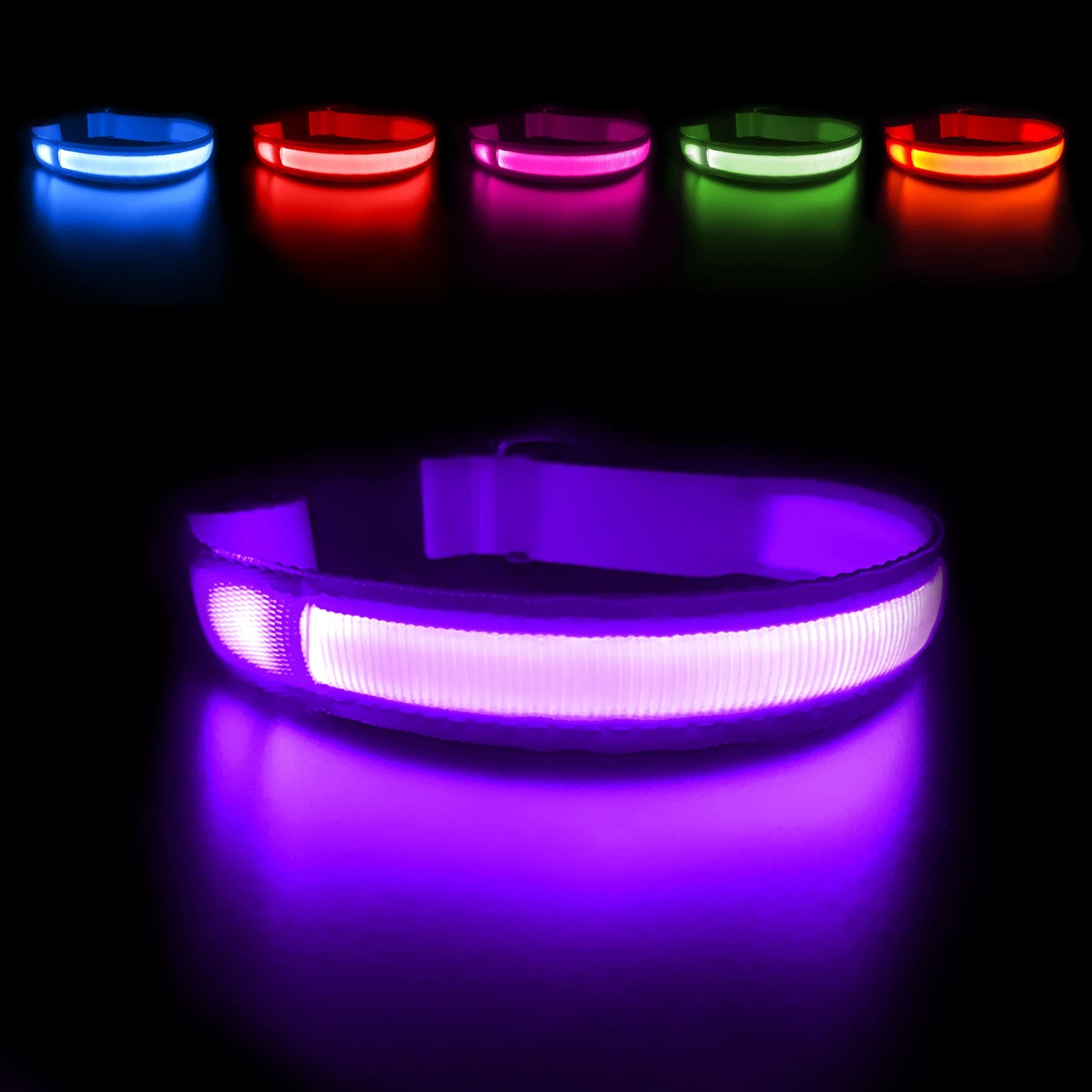 Light Up Dog Collar