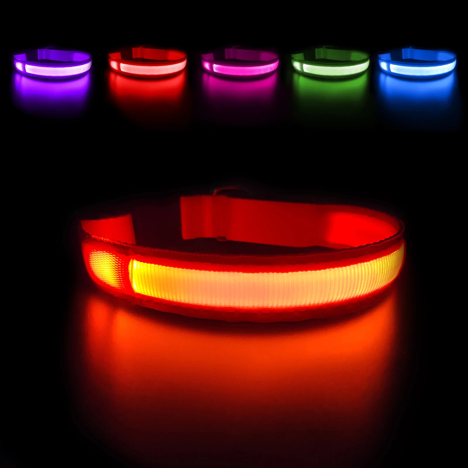 Light Up Dog Collar