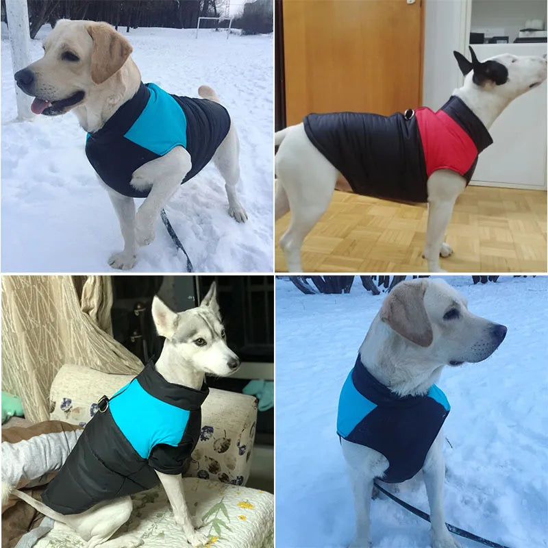 Padded Waterproof dog Vest