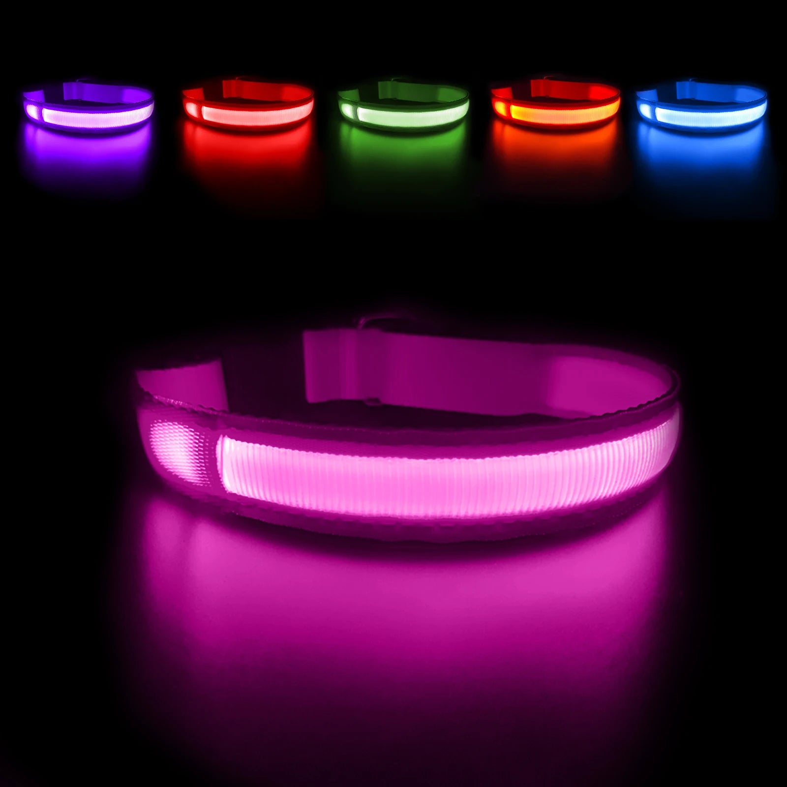 Light Up Dog Collar