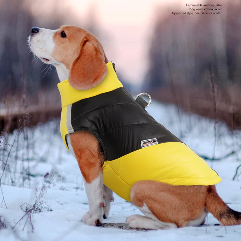 Padded Waterproof dog Vest