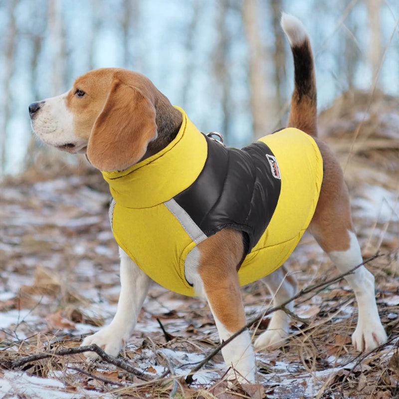 Padded Waterproof dog Vest