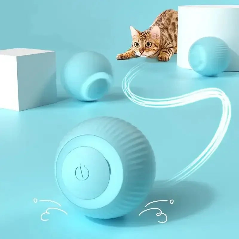 Interactive Cat Rolling Ball